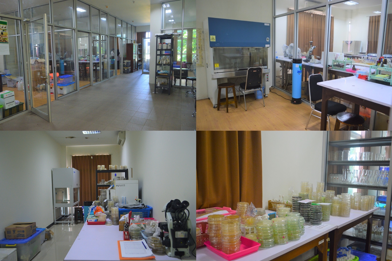 Laboratorium Mikrobiologi Laut