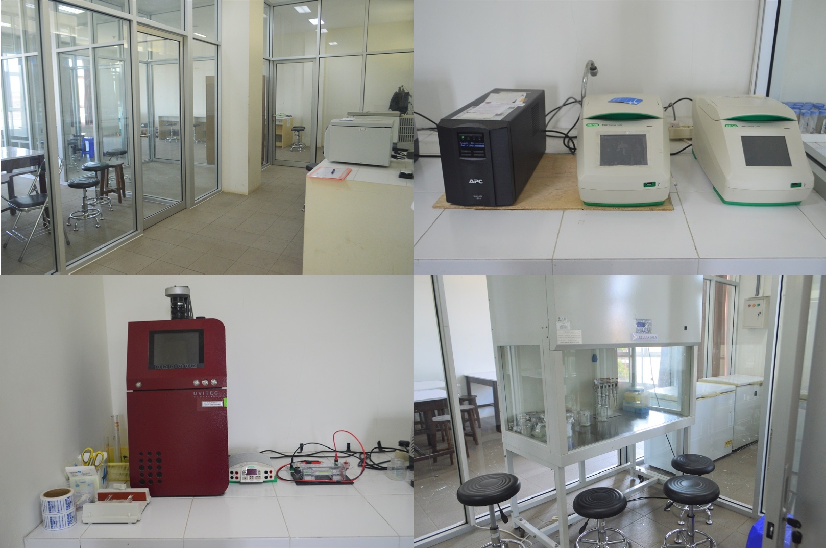 Laboratorium Biologi Molekuler